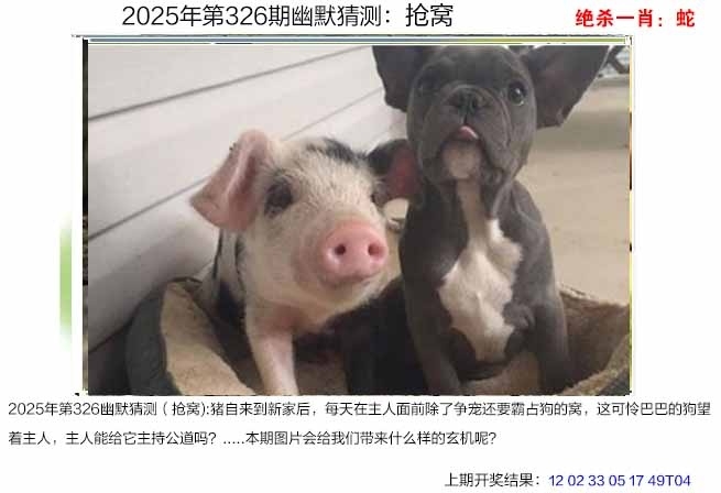 2025326期：澳幽默猜测，描绘2025年港澳免费看资料玄机:四上八下有蛇狗;解析2025年新澳门生肖牌3肖6码：【蛇羊狗,3-11-18-30-37-38】