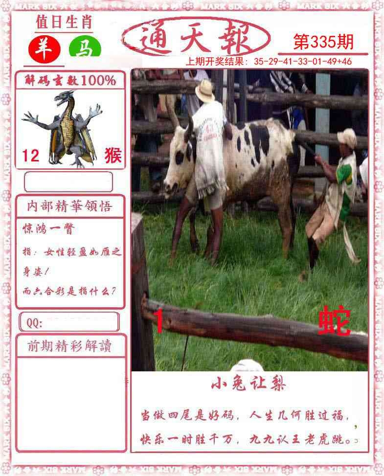 2025335期：通天报解码，描绘2025新澳门天天开好彩大乐透号码玄机:石榴武士找桂花，二下五上红波旺;解析2025新澳天天正版免费5肖10码：【兔龙猴狗猪,3-4-12-16-22-25-29-33-41-48】