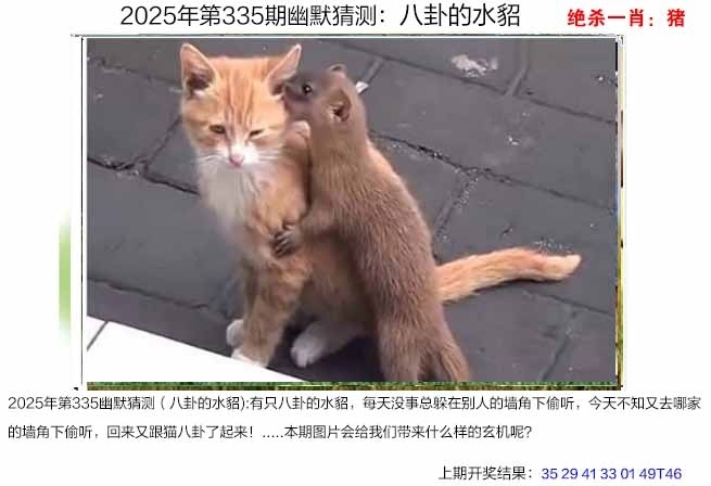 2025335期：澳幽默猜测，描绘2025年港澳免费看资料玄机:石榴武士找桂花，二下五上红波旺;解析2025新澳门彩开将结果5肖10码：【兔龙猴狗猪,3-4-12-16-22-25-29-33-41-48】