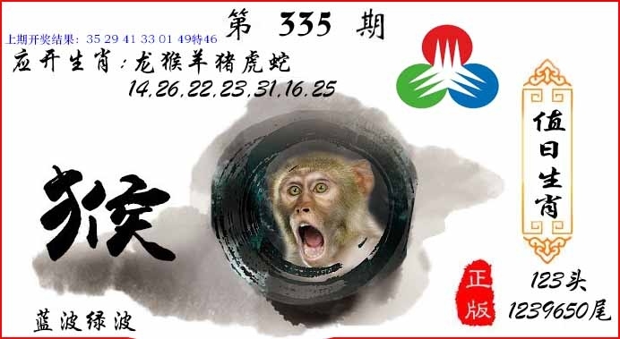 2025335期：值日生肖图，描绘2025最新免费资料大全玄机:石榴武士找桂花，二下五上红波旺;解析2025最全免费资料大全5肖10码：【兔龙猴狗猪,3-4-12-16-22-25-29-33-41-48】