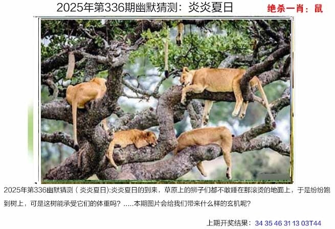2025336期：澳幽默猜测，描绘2025年港澳免费看资料玄机:今期生肖最忠心;解析2025新澳门彩开将结果6肖12码：【虎兔龙猴鸡猪,1-2-8-17-20-27-34-35-44-45-46-47】