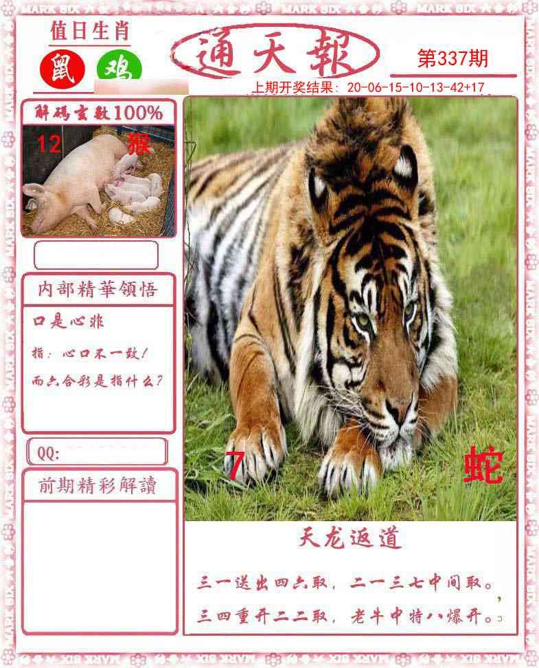 2025337期：通天报解码，描绘2025新澳门天天开好彩大乐透号码玄机:回首三四要留意;解析2025新澳天天正版免费6肖12码：【牛兔龙马羊猪,1-2-5-7-10-14-20-27-29-32-35-43】