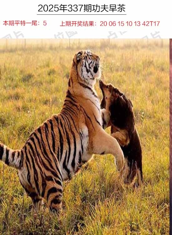 2025337期：功夫早茶图，描绘2025年天天资料免费玄机:回首三四要留意;解析2025年天天精准大全6肖12码：【牛兔龙马羊猪,1-2-5-7-10-14-20-27-29-32-35-43】