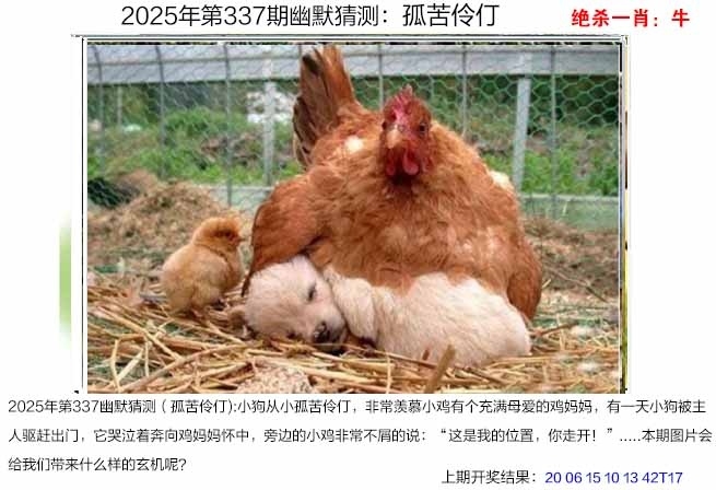 2025337期：澳幽默猜测，描绘2025年港澳免费看资料玄机:回首三四要留意;解析2025新澳门彩开将结果6肖12码：【牛兔龙马羊猪,1-2-5-7-10-14-20-27-29-32-35-43】