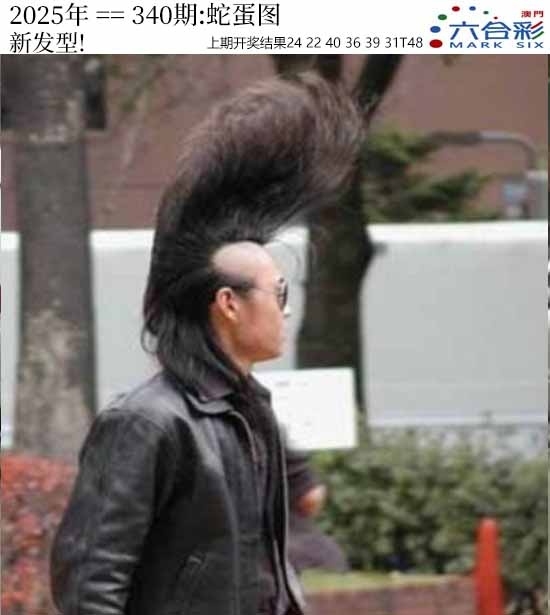 2025340期：澳门蛇蛋图，描绘2025新澳门天天精准谜语玄机:二八合七有灵码;解析2025新澳门历史记录查询4肖8码：【羊猴鸡猪,3-5-8-11-13-19-34-38】