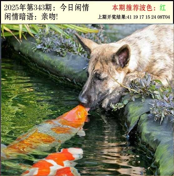 2025343期：今日闲情２，描绘2023年今晚香港开玄机:三三两两相伴来;解析2025今天晚上澳门开什么6肖12码：【牛虎蛇马鸡狗,2-7-9-18-26-27-29-35-40-43-45-46】