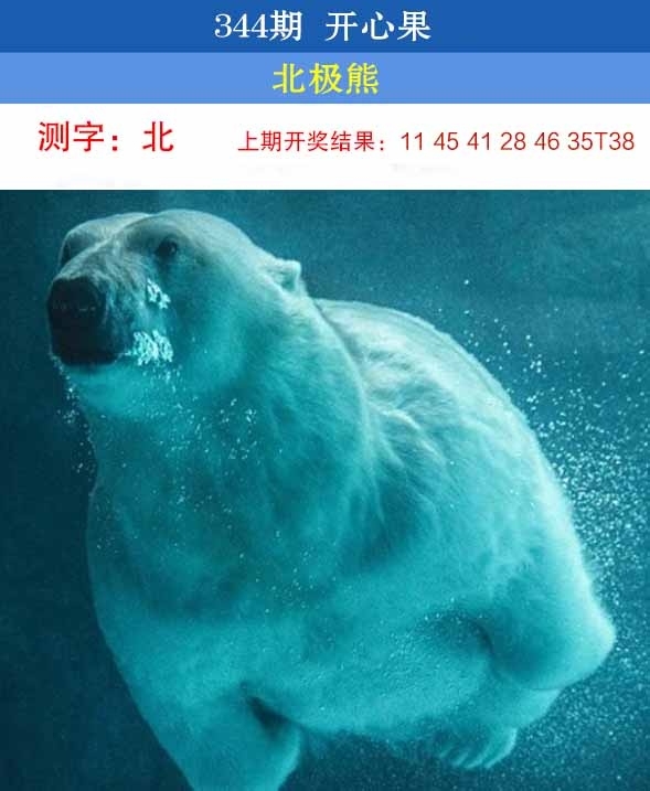 2025344期：开心果先锋，描绘2025新澳开奖结果了玄机:红波兰波两个样;解析2025新澳门彩开将结果3肖6码：【兔猴鸡,2-7-13-15-36-42】