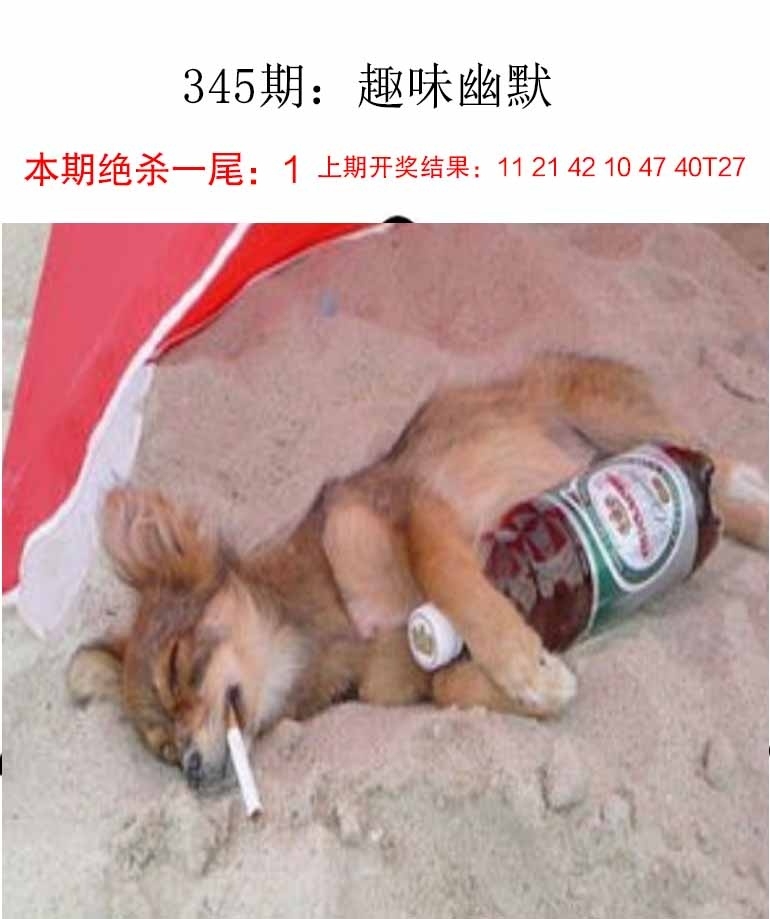 2025345期：新趣味幽默，描绘2025最新资料免费玄机:今期难过美人关;解析2025最新资料大全免费下载6肖12码：【兔龙蛇马猴猪,1-2-10-14-15-19-23-29-34-36-43-45】