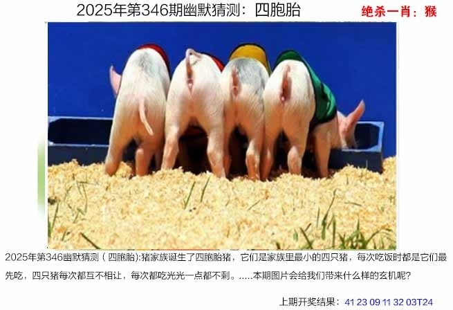 2025346期：澳幽默猜测，描绘2025年港澳免费看资料玄机:二六七有码;解析2025新澳门彩开将结果4肖8码：【牛蛇鸡狗,3-11-21-22-25-29-35-42】